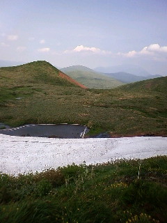 秋田駒ｹ岳の花たち 自然の花畑 育てる植物と自然の植物